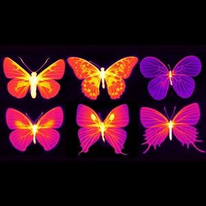 Meet your Posher, Ari